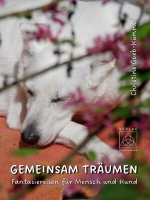 cover image of Gemeinsam träumen